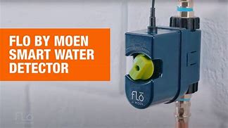 moen